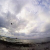 Schausende 28.04.2018 (6).jpg 