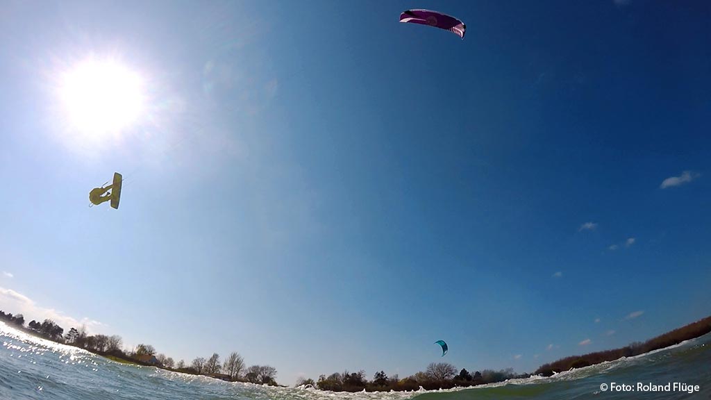 013 Honis-(1)08.10.jpg