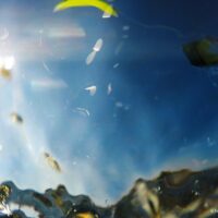 044 Honis-(6)04.01.jpg 