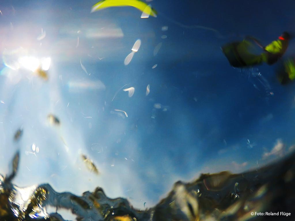 044 Honis-(6)04.01.jpg