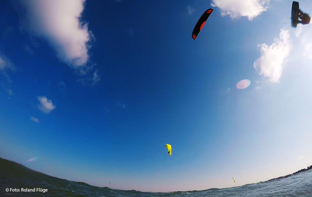 131 Honis-(12)03.18.jpg