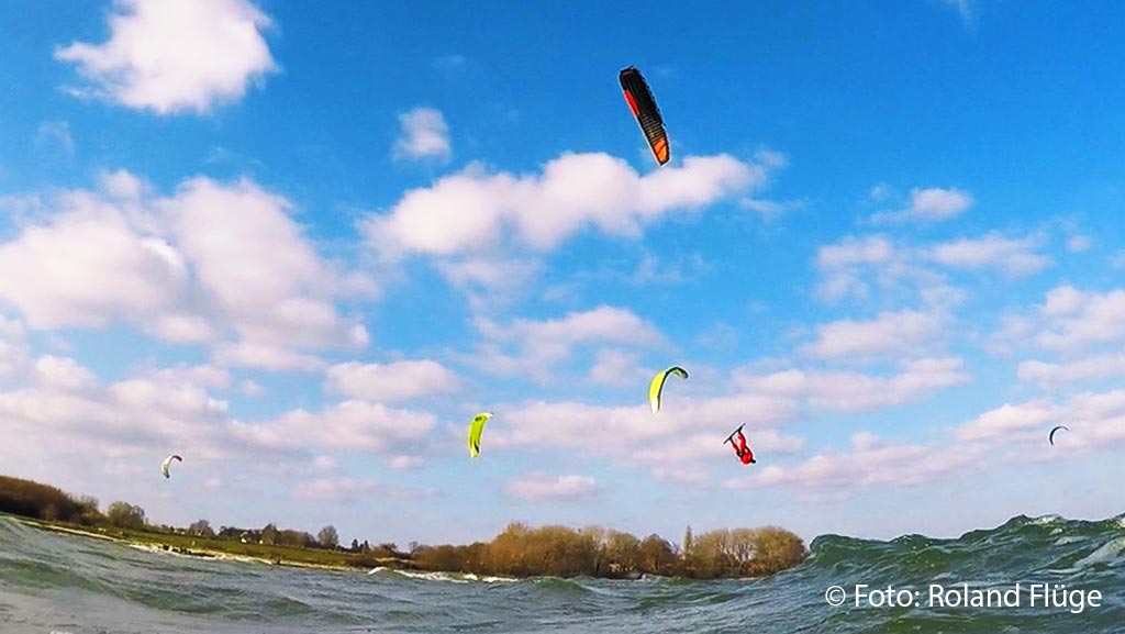 142 Honis-(13)09.47.jpg