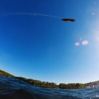 17 Solitüde-(4) 11.38.jpg 