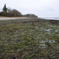 Sturm Xaver – Innenförde mit ohne Wasser