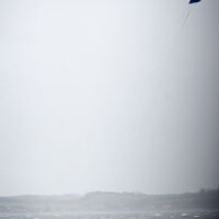 kite13_egeskov_nasskalt_039.jpg 