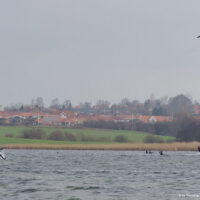 kite13_rentnerbucht_021.jpg 