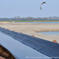 Jedes Wasser wird genutzt… | Baggersee