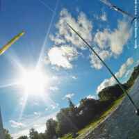 Schirmherrschaft | 11. Sept. 2016