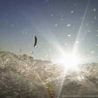 Flügeltreffen | 15. Sept. 2016