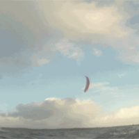 kite16_weihnachtssturm_3_01.gif 