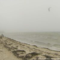 Nebelfrühsession | 3. Februar 2017