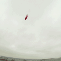 kite17_pausenloop_14maerz_2x.gif 