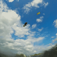 kite17_sturmfoerde_4aug_0034.gif 
