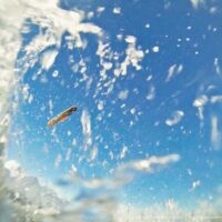 Fördekarnevall | 11.11.2017