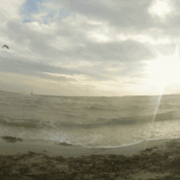 Holnismorgenschausiabend | 23.11.17