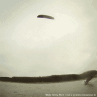 kite18_friederikesturm_18jan_25.gif 