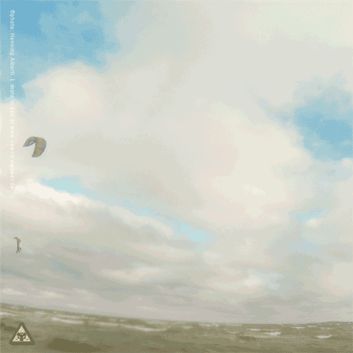 kite18_ohrfeldfliegerei_4feb_3b.gif