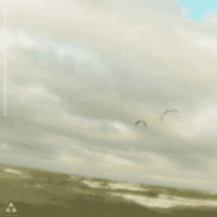 kite18_ohrfeldfliegerei_4feb_3c.gif 