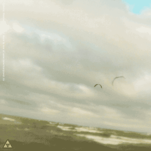 kite18_ohrfeldfliegerei_4feb_3c.gif