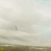 kite18_ohrfeldfliegerei_4feb_5a.gif 