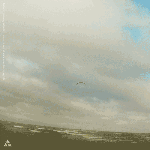 kite18_ohrfeldfliegerei_4feb_5b.gif