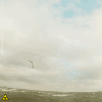 kite18_ohrfeldfliegerei_4feb_5c.gif 