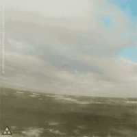 kite18_ohrfeldfliegerei_4feb_5e.gif 