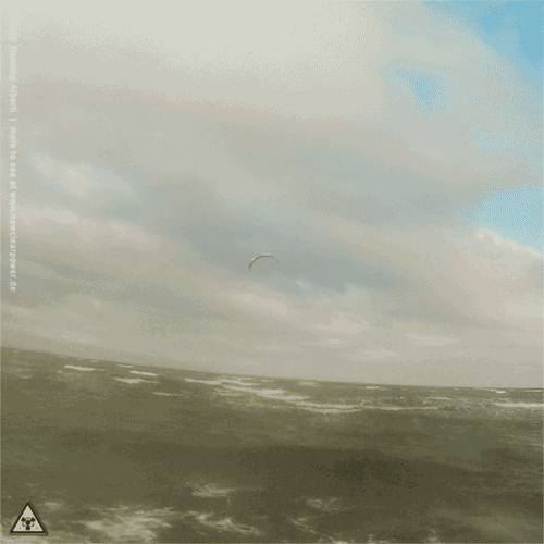 kite18_ohrfeldfliegerei_4feb_5e.gif