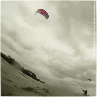 9:00 Uhr – Frühe Vögel in Holnis | 1.5.2018