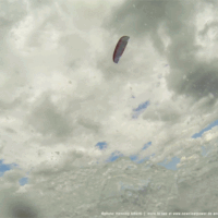 kite18_windsonntag_17juni_1b.gif 