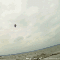 kite18_soulloops_20juni_1a.gif 