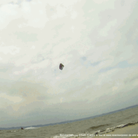 kite18_soulloops_20juni_1b.gif 