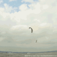 Soulloops am 20. Juni 2018