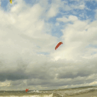 kite18_wechselschirme_27aug_1b.gif 