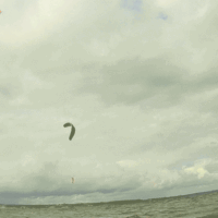 kite18_wechselschirme_27aug_2a.gif 