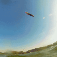 kite19_rentnefruehling_16feb_1a.gif 