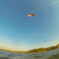 kite19_rentnefruehling_16feb_2b.gif 