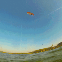 kite19_rentnefruehling_16feb_3a.gif 