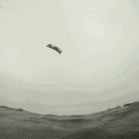 Schausi zu dritt alleine | 3.3.19