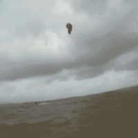 kite20_schausende_21feb_1a.gif 
