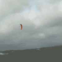 kite20_schausende_21feb_2a.gif 