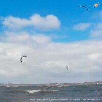 Vormittagshoppserei | 22.4.2021