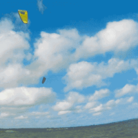 film_kite21_schausendesatt16aug_1a.gif 