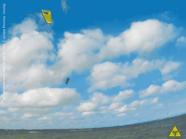 film_kite21_schausendesatt16aug_1a.gif