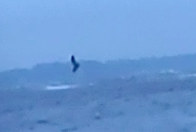 Bildschirmfoto 2012-10-29 um 21.07.55.png 