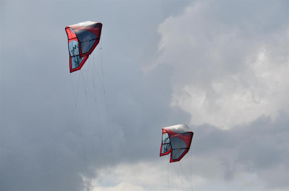 DSC_0678 (Large).JPG