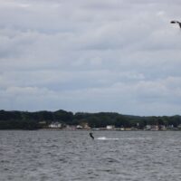 Schausende_15.07.2022