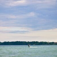 Fördesommerbilder 5.8.2021