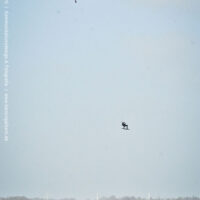 kite22_sturmtief_nadia30jan_228.jpg 