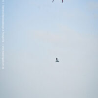 Nadia Sturmspitze | 30.1.2022